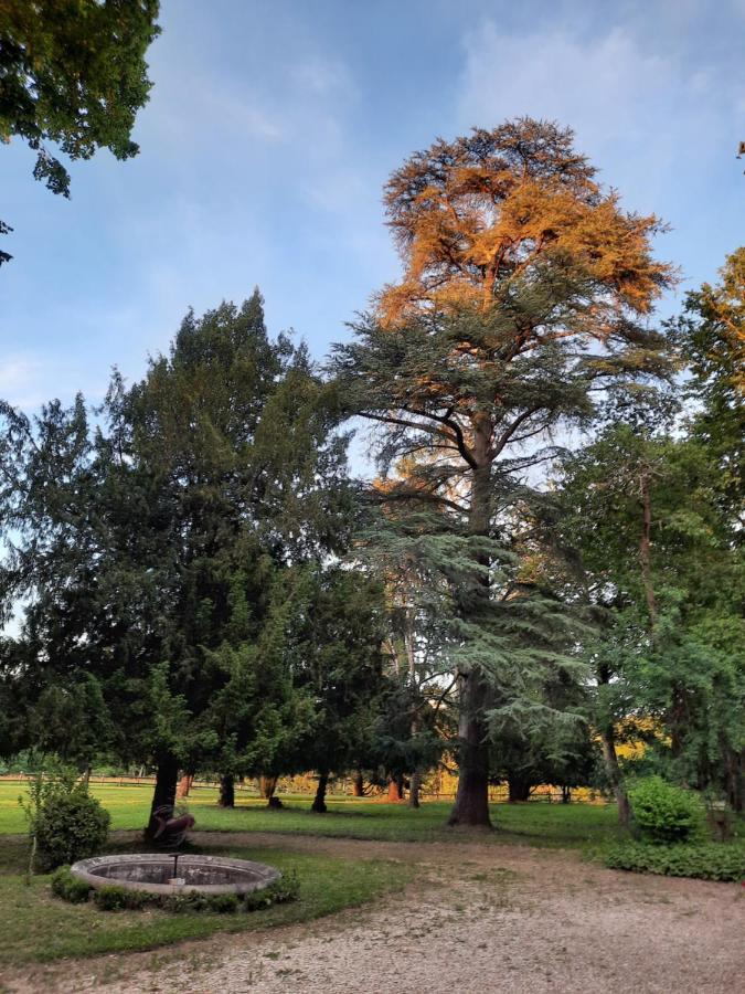 Gite De Charme A 15Mn De Bordeaux Autonomie 100% Camblanes-et-Meynac 外观 照片